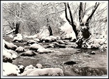 Carte postale photo vintage