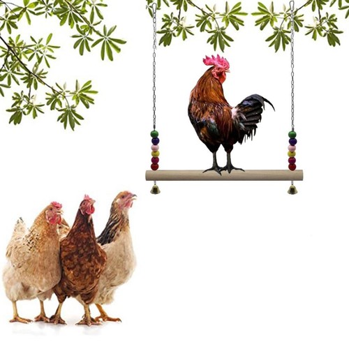 Balançoire poulet la - balançoire,