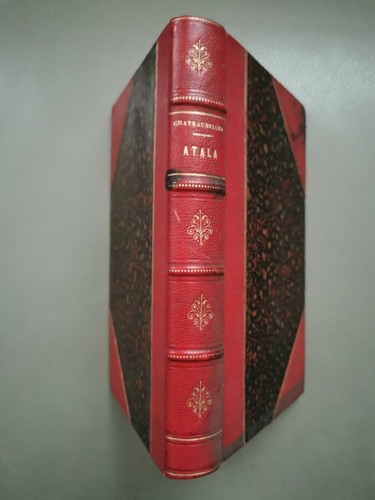 Atala rené denier - rené, le