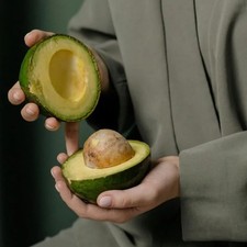 Persea americana 'Reed' - Groupe A - Avocatier à gros fruits