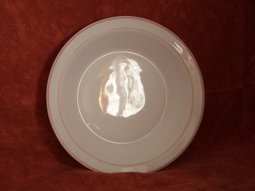 Plat rond arcopal - plat,