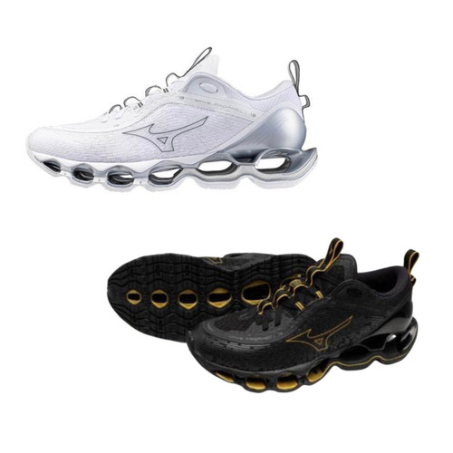 Mizuno wave prophecy - wave,