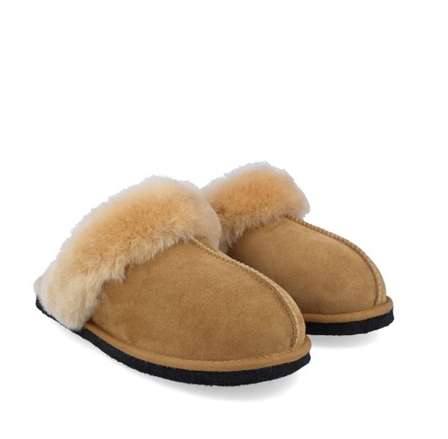 Haflinger north star - star, beige