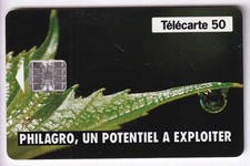 TELECARTE / PHONECARD 