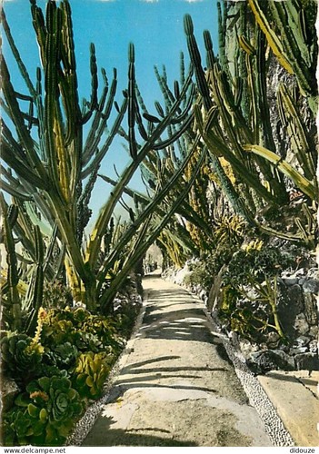 Carte postale fleurs - carte,