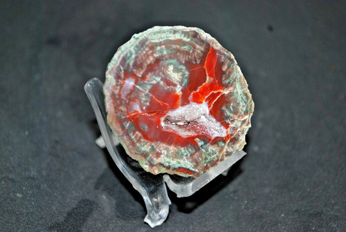 Agates fréjus - (, )