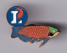 RARE PINS PIN'S .. ANIMAL POISSON FISH AQUARIUM TROPICAL HYPERMARCHE LECLERC ~EZ