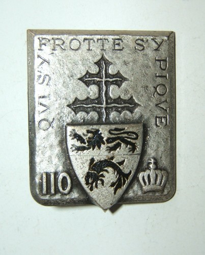 Insigne 110 regiment - insigne, 110°