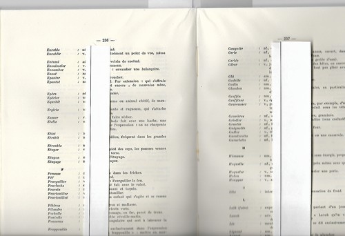 1945 patois champenois - 1945,