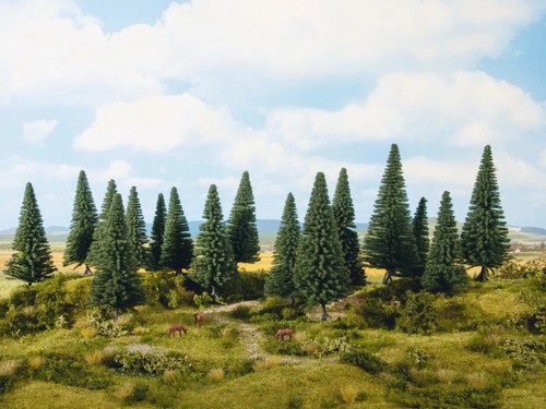 Noch sapins cm - sapins,