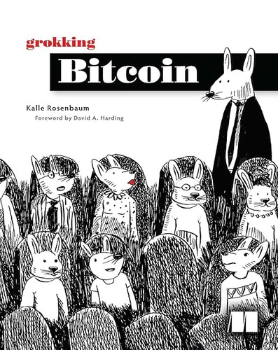 Grokking bitcoin - grokking,
