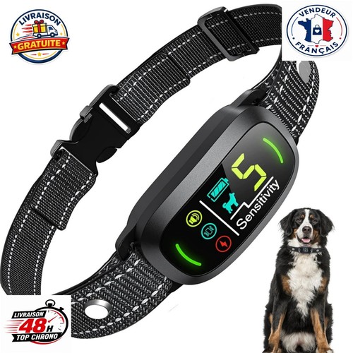 Collier anti aboiement chien - collier,