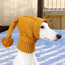 Chapeau pour chien lévrier