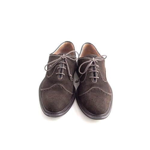 Branchini brogue oxford - branchini, brown