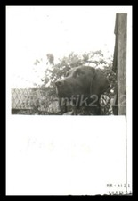 Photo, service du travail