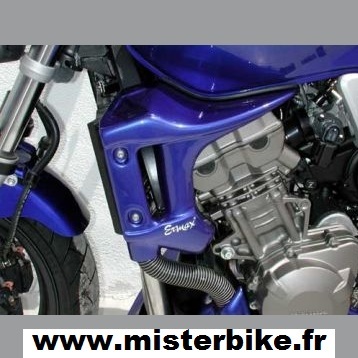 Ecopes radiateur ermax cb - de,