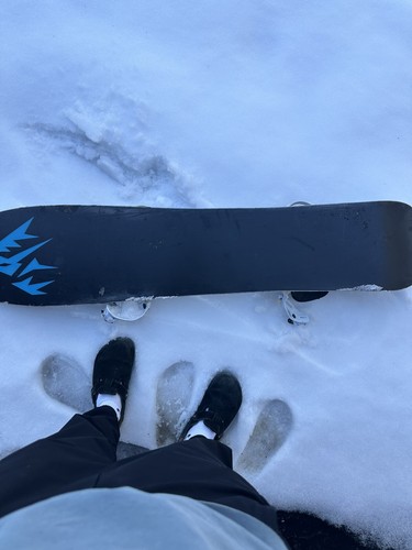 Snowboard