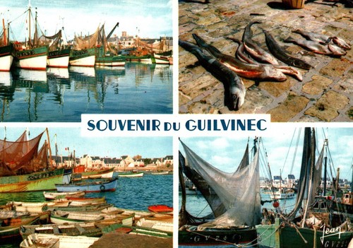 Cpsm souvenir du - 29,