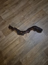 Tire bouchon en cep de vigne