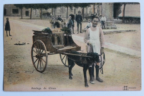 Cpa loiret attelage chien - cpa,