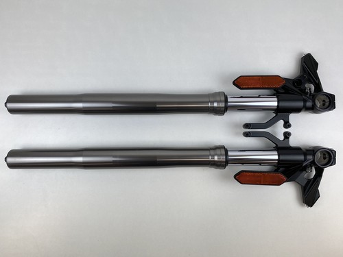 Kawasaki gris fourche - kawasaki,