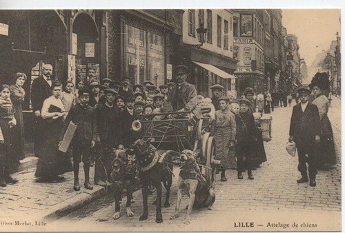 Reproduction cpa lille - cpa,
