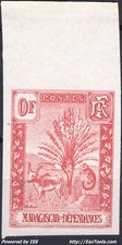 MADAGASCAR ZEBU ESSAI