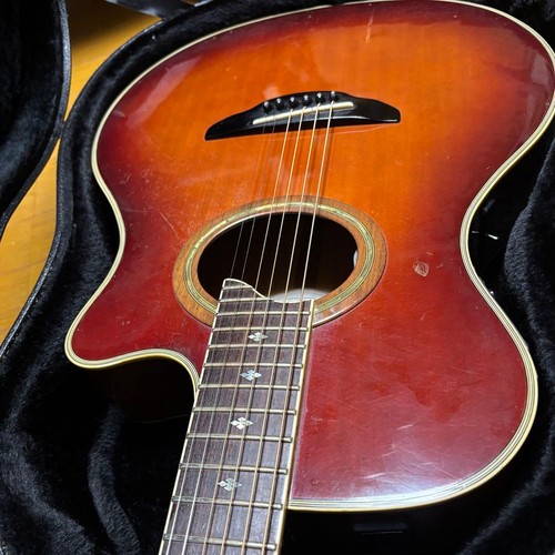 Guitare électrique acoustique