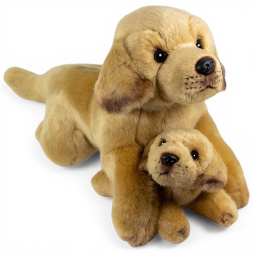 Carl dick labrador couché - dick,