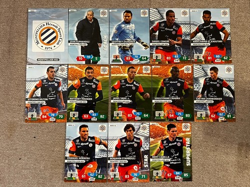 Lot cards panini adrenalyn - ,