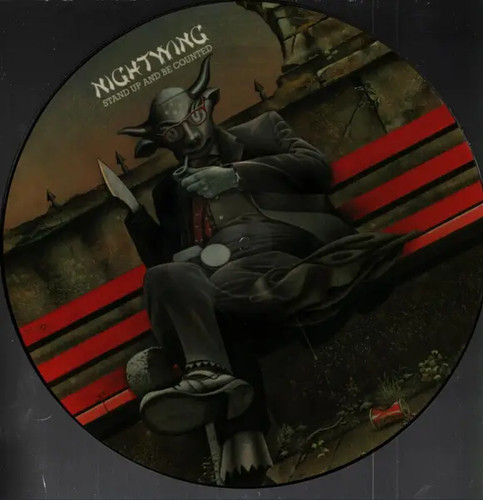 Picture disc nightwing - picture,
