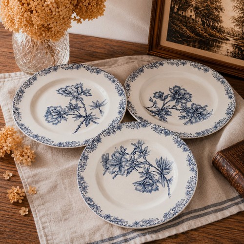 Lot assiettes creuses - lot, 3