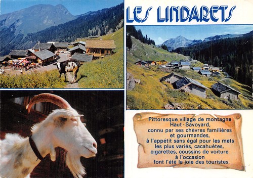 Morzine montriond - 74,