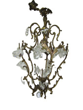 Lustre Cage Pampilles et