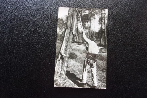 France carte postale 1953 - carte,