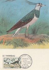 CARTE MAXIMUM 1ER JOUR - VANNEAU HUPPÉ - 17/12/1960 - MUSÉUM DE PARIS
