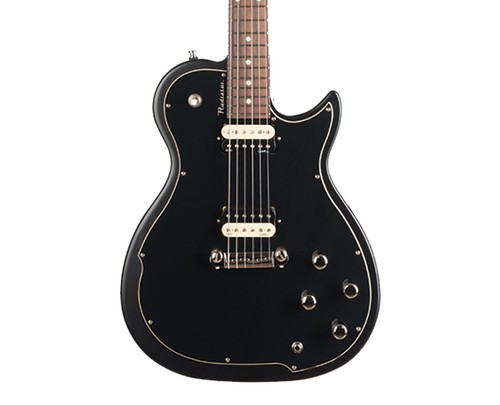 Godin radiator electric guitar - radiator,