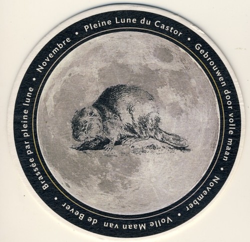 Sous bock neuf viltje coaster - ,