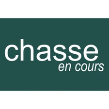 chasse en cours vert -