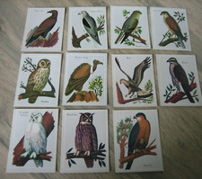 11 Anciennes Images scolaire