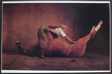 2 Images Cromalin Yann Arthus Bertrand Animaux Vers 1980
