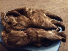 Vintage Hilda H.Mayo Mink