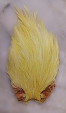 Cou de Coq, plume pour la pêche à la mouche.