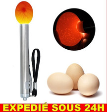✅ Lampe Œufs Oeuf