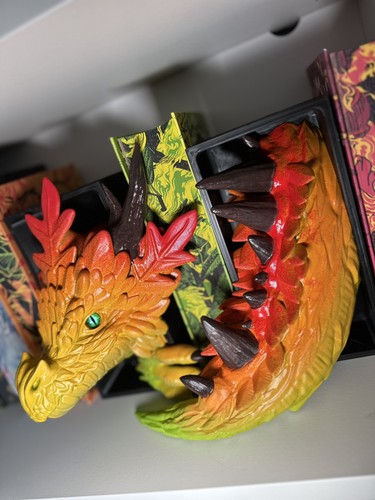 Book nook dragon des forêts - dragon,