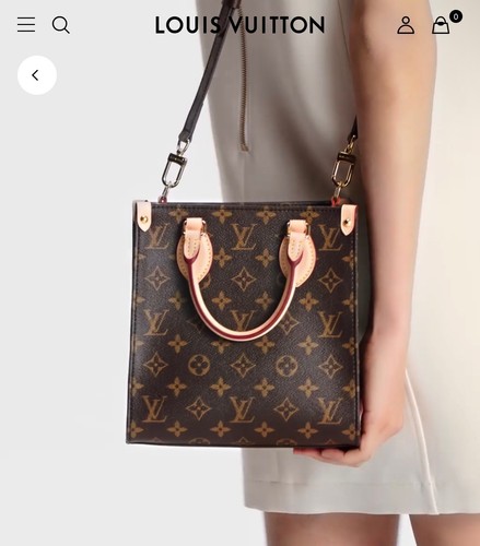 Louis vuitton small sac - louis,