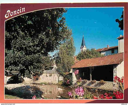 Carte postale poncin - 01,