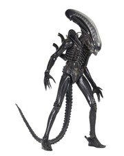 Alien big chap - chap", 40th