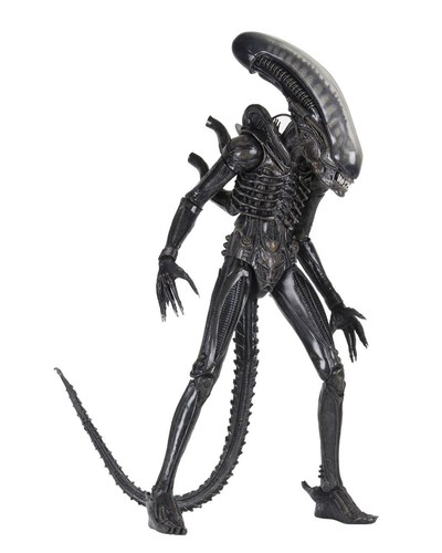 Alien big chap - "big, chap"