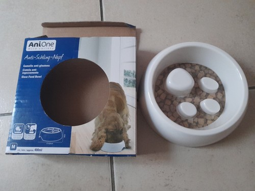 Gamelle pour chien - pour,